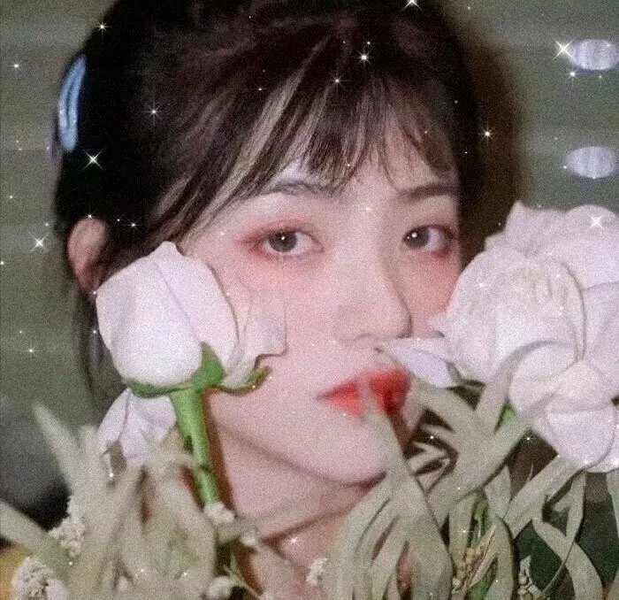 派对怪兽